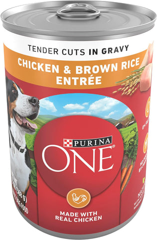 Purina ONE Tender Cuts in Gravy Chicken and Brown Rice Wet Dog Food, 13 oz